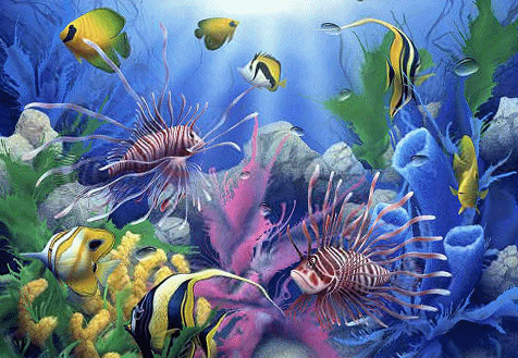 5. Гиф рыбки в аквариуме