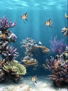 10. Гифка рыбки в воде