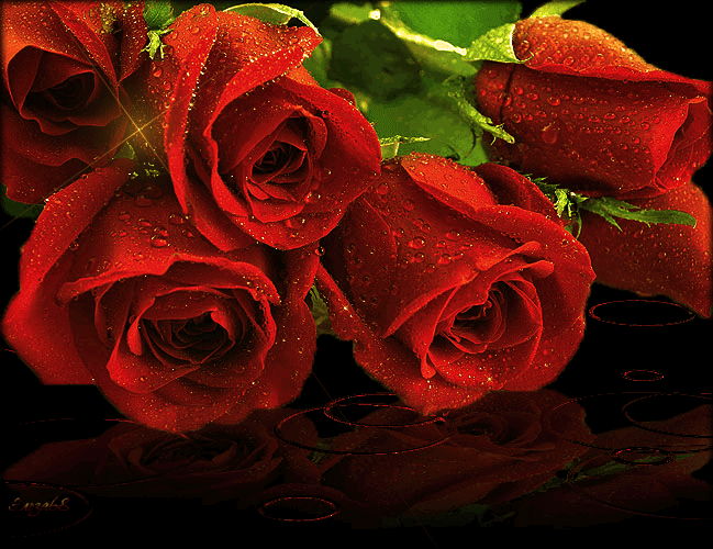 3. Gif картинка букет из красных роз