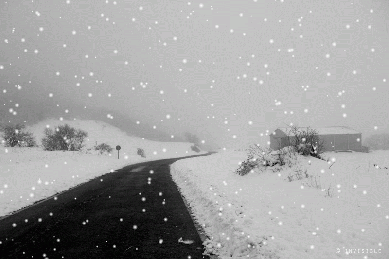 9. Гиф снегопад на дороге