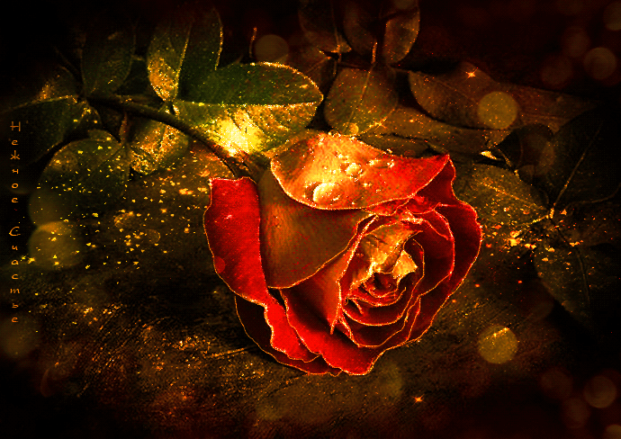 9. Потрясающе красивая и мерцающая открытка для тебя с любовью эта роза!