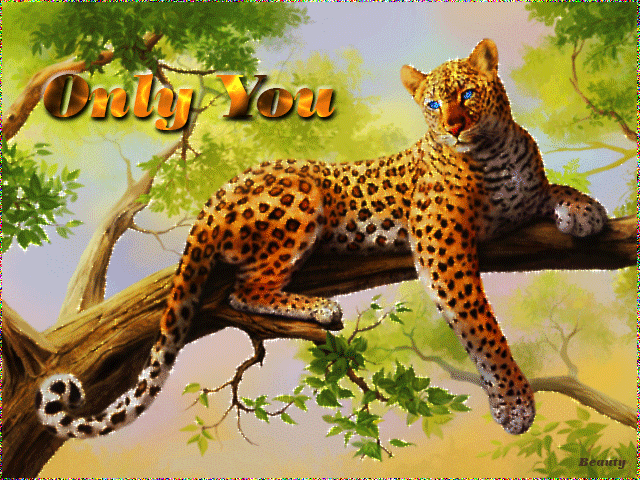 1. Красивая картинка с леопардом