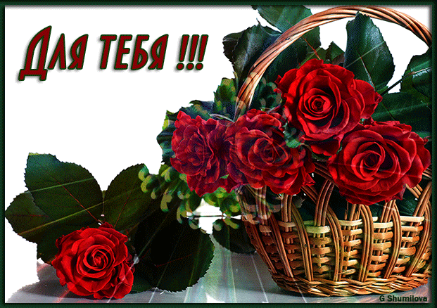 5. Gif картинка корзинка красных роз для тебя!