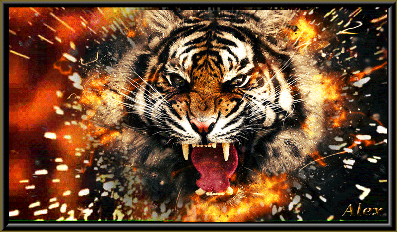 1. Мерцающая картинка с тигром