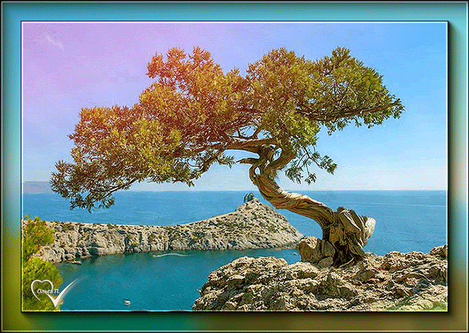 8. Красивая гифка с одиноким деревом на скале на фоне моря