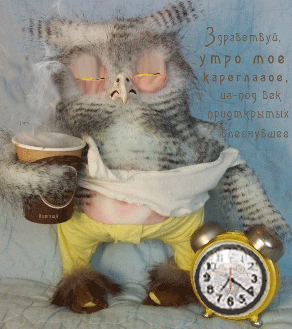 8. Смешная анимированная открытка с невыспавшийся совой и будильником. Здравствуй, утро моё кареглазое, из под век приоткрытых блеснувшее.