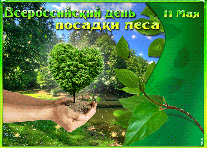 1. Гифка Всероссийский день посадки леса 11 мая