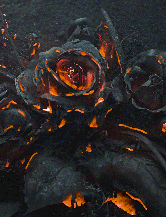 1. Гифка чёрная роза в огне