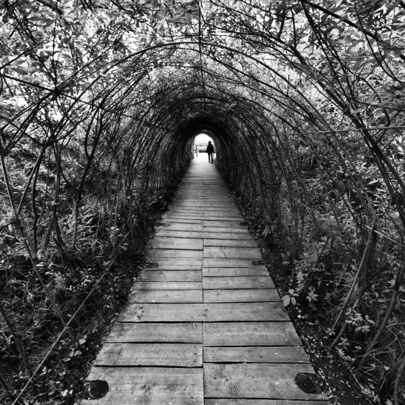 1. Сюрреалистическая гифка тоннель в парке