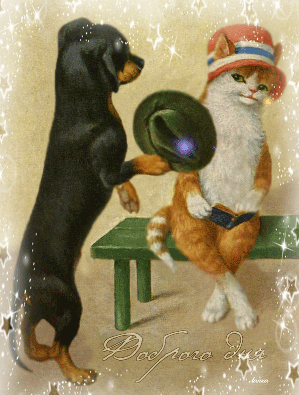 Кошечки собачки праздник урожая. Открытка «собачки». Поздравительные открытки с собаками. Старинные открытки с кошками. Смешные старые открытки.