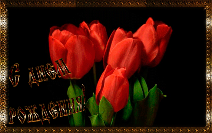 3. Gif картинка с днём рождения с красными тюльпанами!