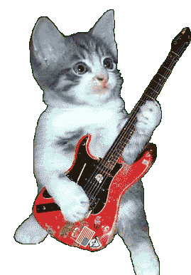 1. Гифка котёнок играет на гитаре на прозрачном фоне