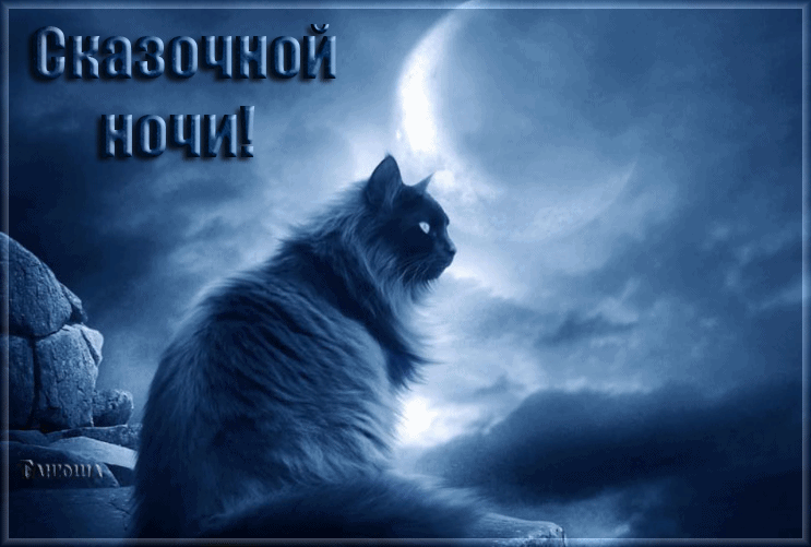 2. Красивая gif картинка сказочной ночи с котом на фоне луны!