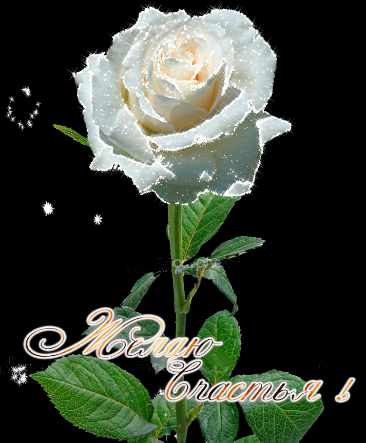 3. Gif картинка с белой розой и пожеланием счастья!