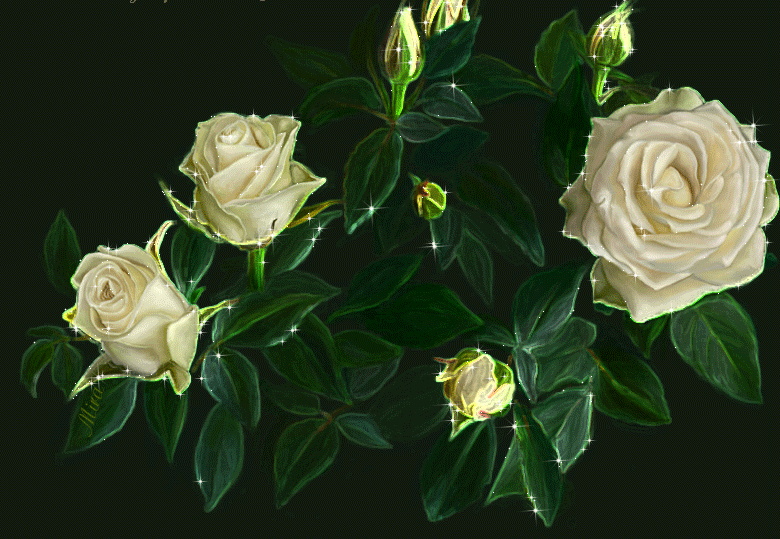 5. Гиф открытка с белыми розами