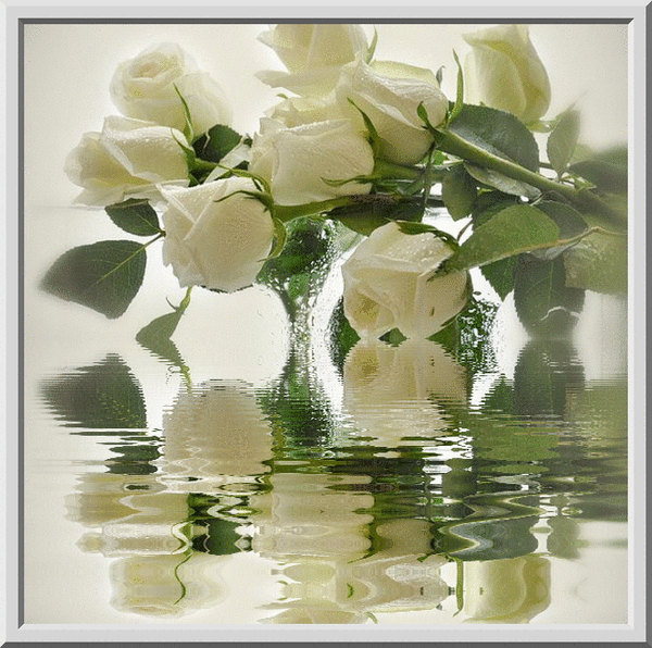 6. Гифка белые розы в воде