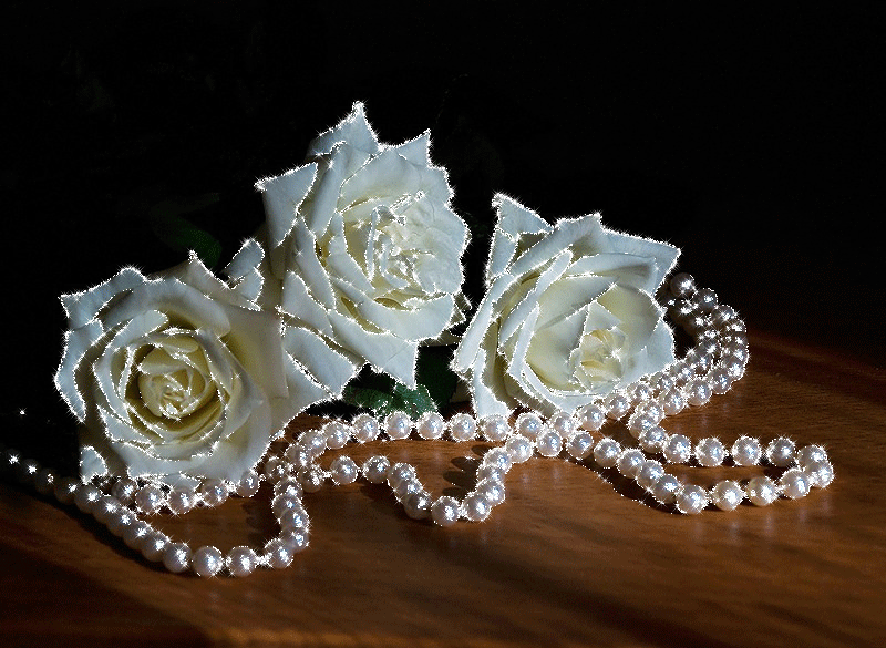 10. Красивая гифка с белыми розами
