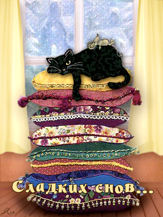 9. Гифка сладких снов с котиком