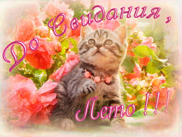 13. Гифка до свидания лето!