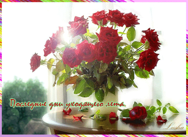 2. Гифка последние дни уходящего лета!