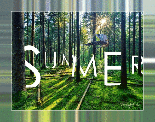 8. Gif картинка летний лес