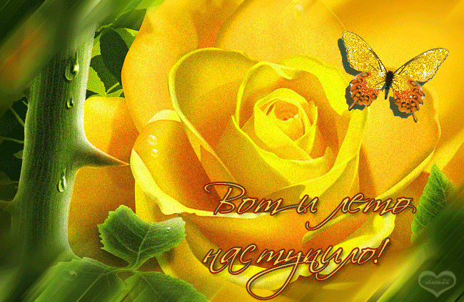 10. Гифка Вот и лето наступило!