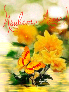 21. Гифка привет лето!