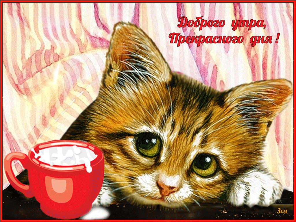 Добро утро хорошего дня с котиками. Доброе утро прекрасного дня. Доброе утро прекрасного дня прикольные. Открытки с добрым утром с животными. Открытки с добрым утром с котятами.
