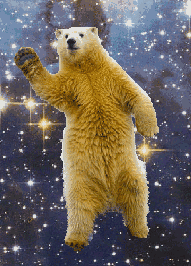 Где медведь танцует. Танцующий медведь. Медведь танцует. Танцующий белый медведь. Медвежонок танцует.