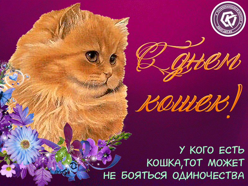 Картинки с кошками пожелания. День кошек. День кошек открытки. Всемирный день кошек открытки. Поздравление с днем кошек.