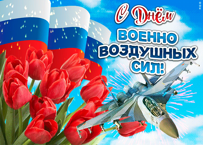 2. Красивая gif картинка с днём Военно-Воздушных Сил России с цветами и самолётом