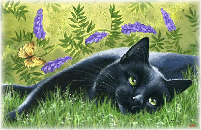 1. Гифка чёрная кошка в траве
