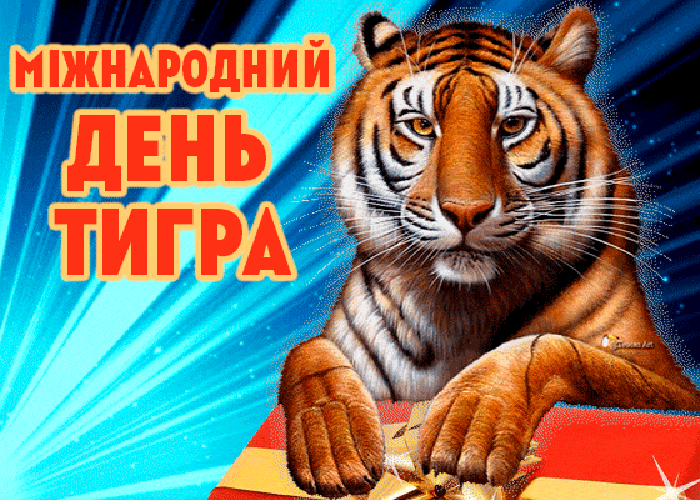 Картинки с надписью тигр ты мой (44 фото)