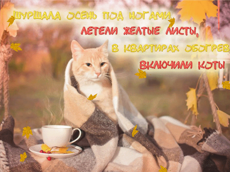 4. Гифка шуршала осень под ногами, летели жёлтые листы, в квартирах обогрев включили коты!