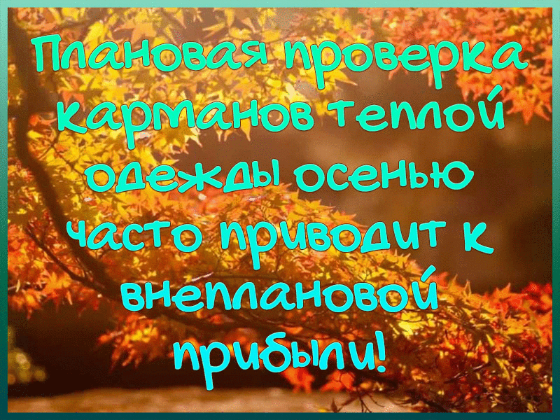 5. Смешная осенняя анимация со смыслом