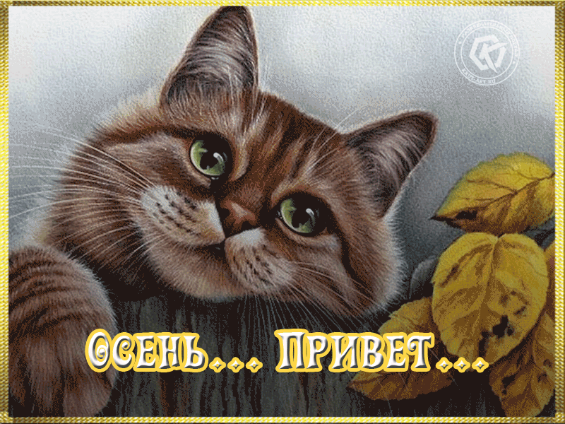 14. Gif картинка с осенним приветиком!