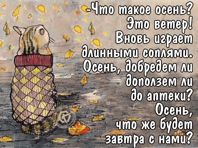 18. Гифка что такое осень ? Это ветер! смешная.