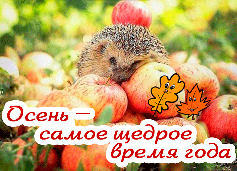 23. Красивая гифка Осень — самое щедрое время года!