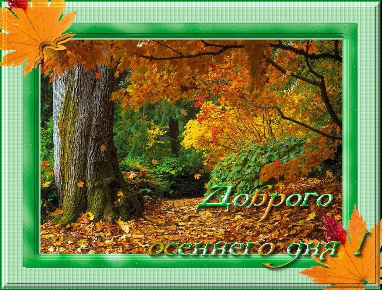 Красивого доброго осеннего дня. Доброго осеннего дня. Осенний день. С добрым осенимим днем. Доброго осеннего дня и хорошего настроения.