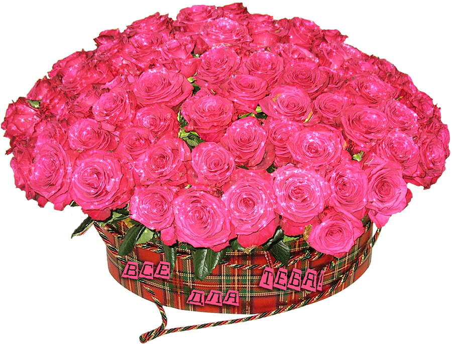 5. Анимационная открытка с огромной коробкой розовых роз