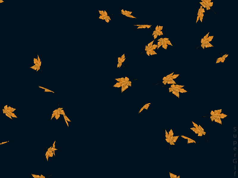 4. Крутая гифка падающие осенние листья