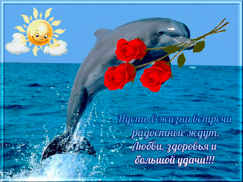 Желаю купаться в счастье. Открытки. Открытки с пожеланиями. Поздравления с днём рождения море. С днём рождения дельфиг.