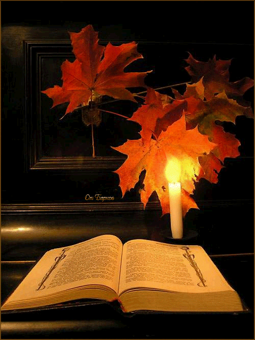 Долгими осенними вечерами мы читали. Поэтическая осень. Осенний поэтический вечер. Листая осени страницы. Поэзия картинки.