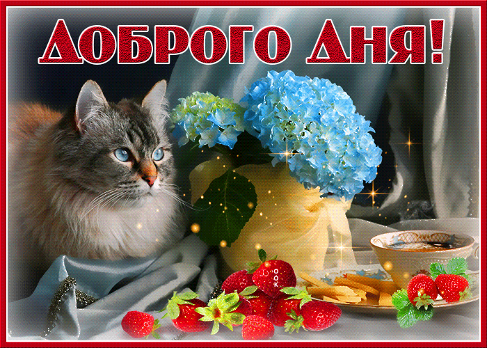 17. Мерцающая гиф открытка с котом, цветами , ягодами и пожеланием доброго дня!