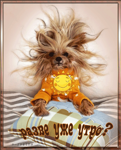 17. Забавная анимационная открытка с добрым утром от собаки.