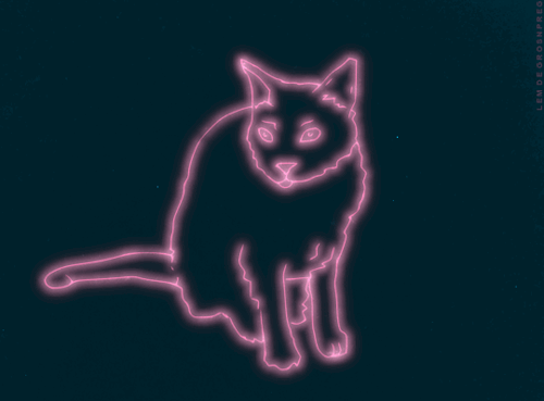 81. Красивая анимированная неоновая кошка на аватар в дискорде