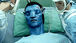 96. Movie Avatar GIF