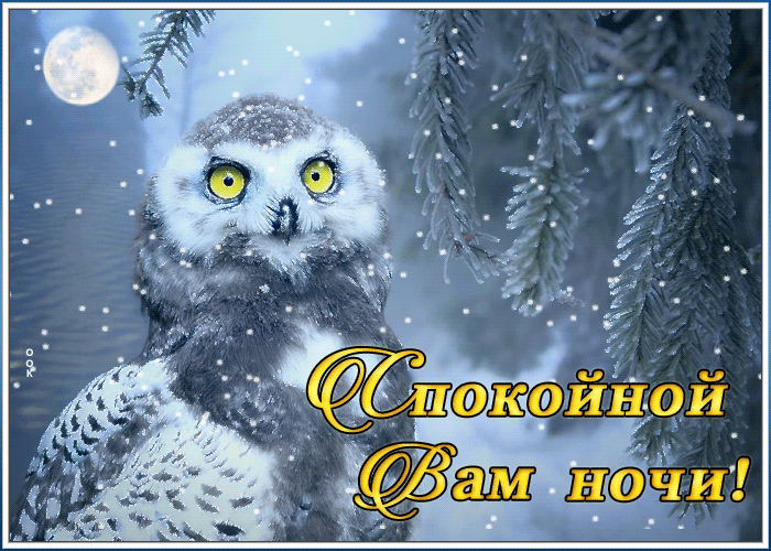 23. Чудесная зимняя открытка спокойной ночи со снегопадом и совой!