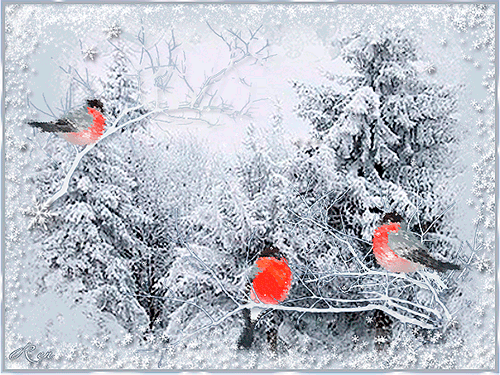 12. Gif анимация Зима картинки Живые зимние открытки, Снегири анимация зимой