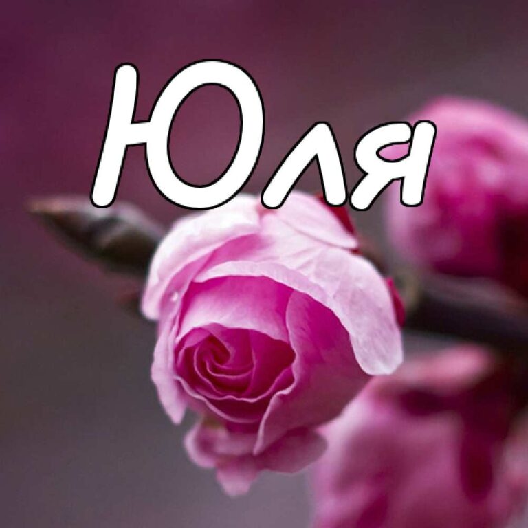 цветы для юлии с днём ангела. красивое имя юля. картинки с именем юля красивые. обои на телефон с юнминами. юля надпись.